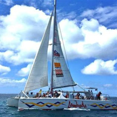 Review Special Price Prickly Pear Catamaran Trip From St Maarten Including Lunch