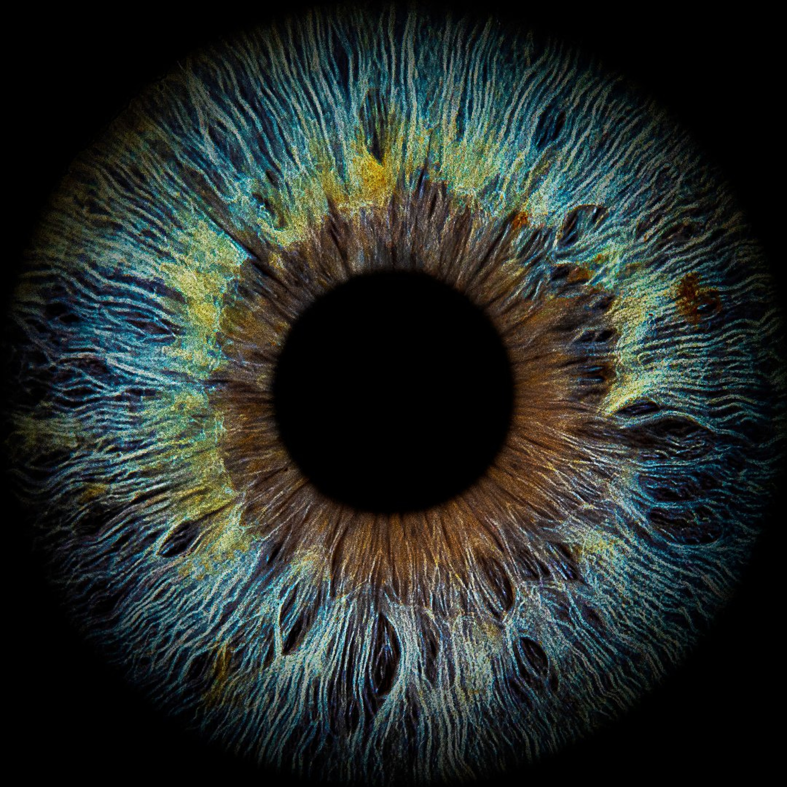 Look - I can see episode artwork