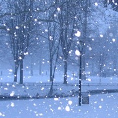 last winter (@silentboycries)