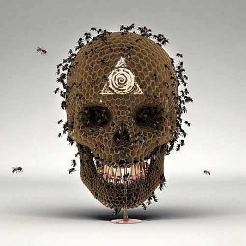 Collision - Swarm (Forthcoming on HANGAR/ unmstrd)