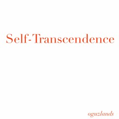 Sıla - Karanfil (oguzlands Remix Edit)