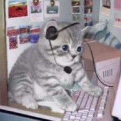 🛗Hold Music for the End of Time 🌀