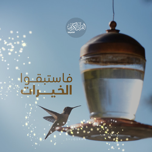 فاستبقوا الخيرات - الصلاة على وقتها
