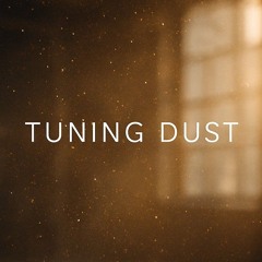 Tuning Dust