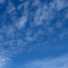 Plain sky