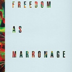 ⚡PDF❤ Freedom as Marronage