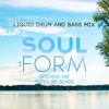 Download Video: Soul:Form 018 - Blade (Liquid Drum and Bass Mix)