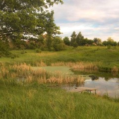A Garden Novial Music
