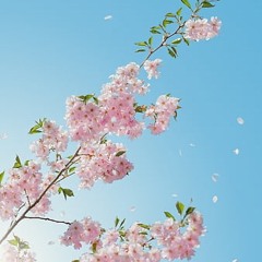 Hate Me (prod. Peril)