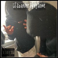 Y They SNAKE ME (Yng Zzandee ft Nsb Von)