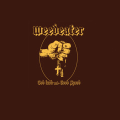 Gimme Back My Bullets (Lynyrd Skynyrd)