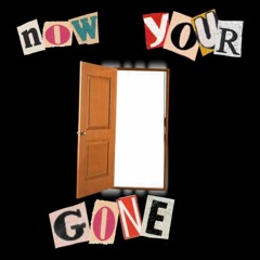Now You're Gone (C-T Remix)