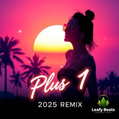 Plus 1 - Martin Solveig (Leafy Beats Remix 2025)