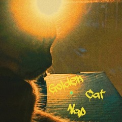 Golden Cat Nap