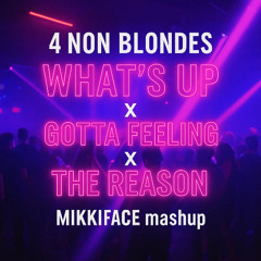 4 non blondes - What's up X Gotta Feeling X The Reason (Mikkiface mashup) - short filtered version