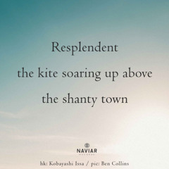 Soaring Above - (naviarhaiku - 569)