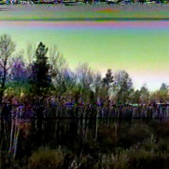 trees & spx - osmosis
