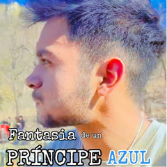 Fantasía De Un Príncipe Azul