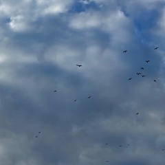 Scenery (prod. jesseonmeth)