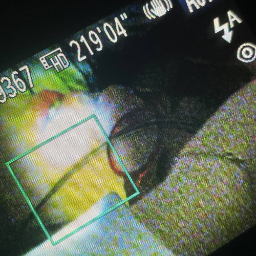 safetypleace - feel u? (it alone remix)