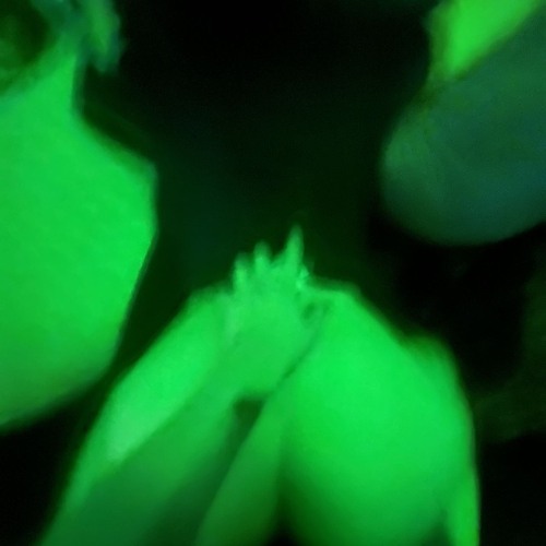 Handling.wav