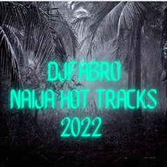 Naija Hot Tracks 2022