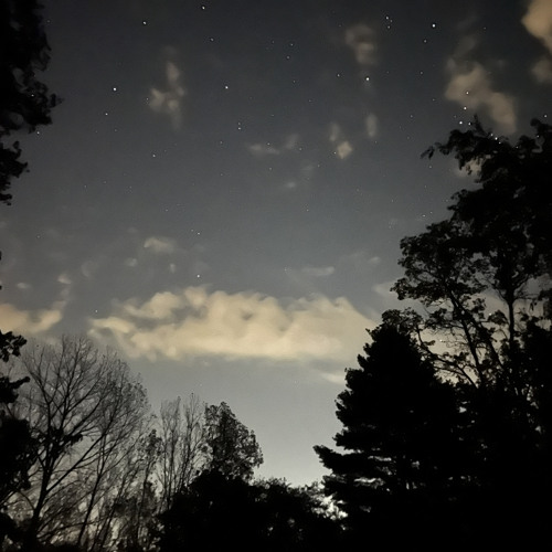 Already checked out… by JaxxxWaxxx(prod Hedonist Beatz)