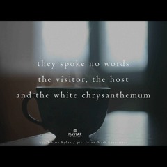 Unspeaking terms [naviarhaiku 555]