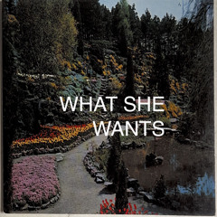 What She Wants (feat. wonderedya)