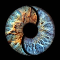 I C U