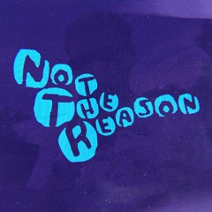 Not The Reason