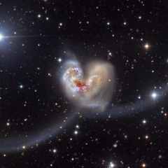 stu session (interlude)