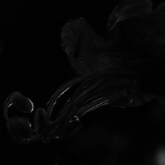 somebody´s missing you