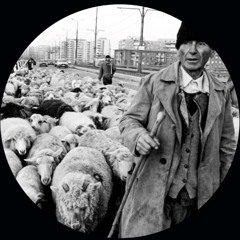 Dax J - Pulse Wave [Monnom Black 022]