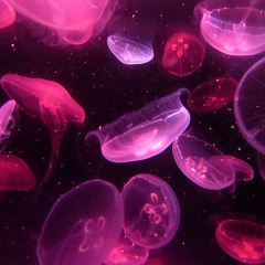 KYWI - Prod. Purls X Jewell *Needs a Collab*