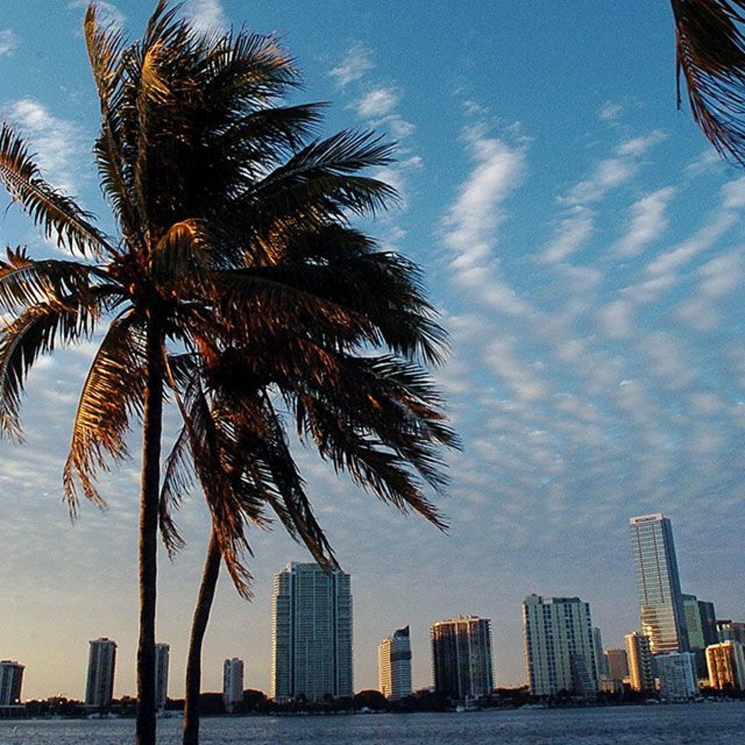 Will Miami Transform America—Or America Miami?