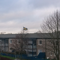 Those NORDIC said " PURIFY " the first night in 2026