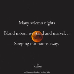 On Many Solemn Nights We Stand And Marvel (naviarhaiku397) - Adrian Lane