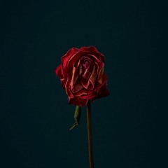 Are You Ever Going To Bed