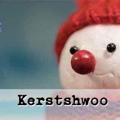 Geen kerstbonus voor de PVV | BouwNijverheid #20