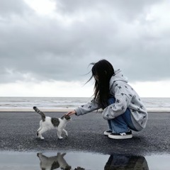 Unchanged Mind - Valentin  1.2x