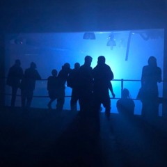 visit denmark live in malmö (chosen1 tekstep rebuild)