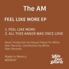 WDR057 - The AM - All This Anger Was Once Love (White Deer Records)