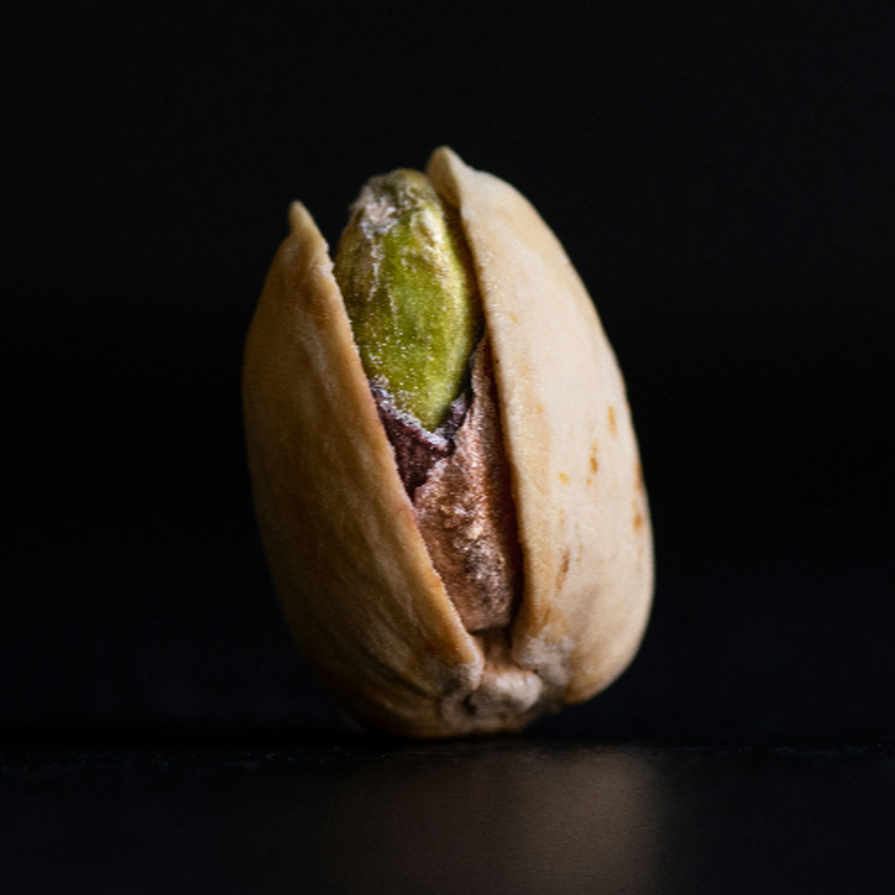 Isn't it Wonderful? An interview with Pistachio Wars director Rowan Wernham