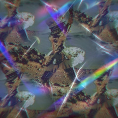 Groovity