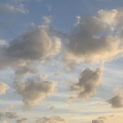 My Favorite Color is Blue