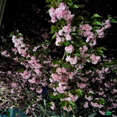 bound2u (prod. michael harrison)