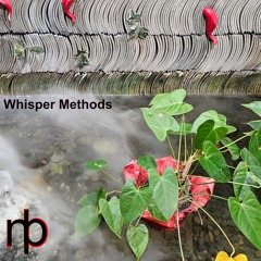 Whisper Methods