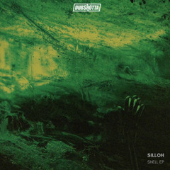 Silloh & DKN - Shell