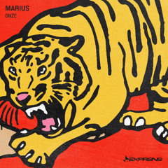 PREMIERE: Marius - GDT